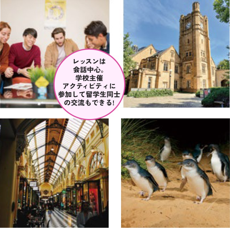 メルボルン大学訪問&市内&大自然ツアー